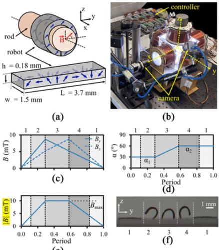 Task space adaptation via the learning of gait controllers of magnetic soft millirobots
